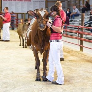 Meet your Posher, Dana